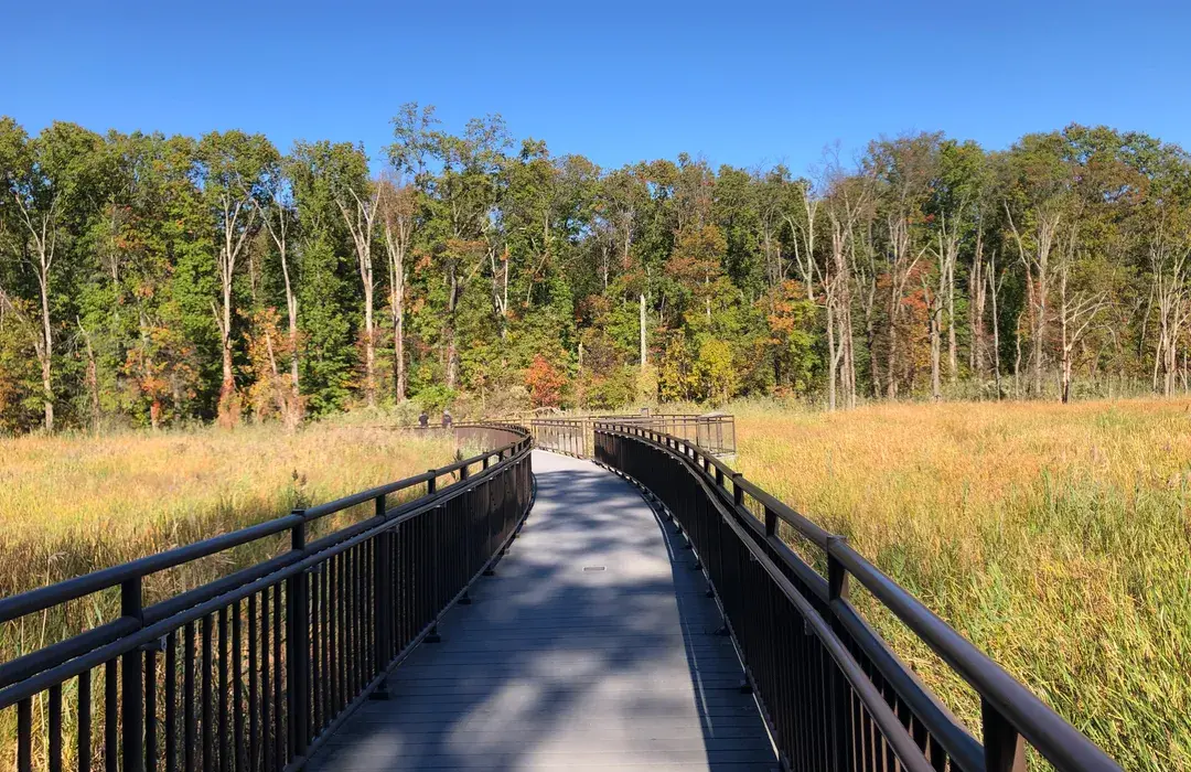 Hawk Rise Sanctuary Boardwalk