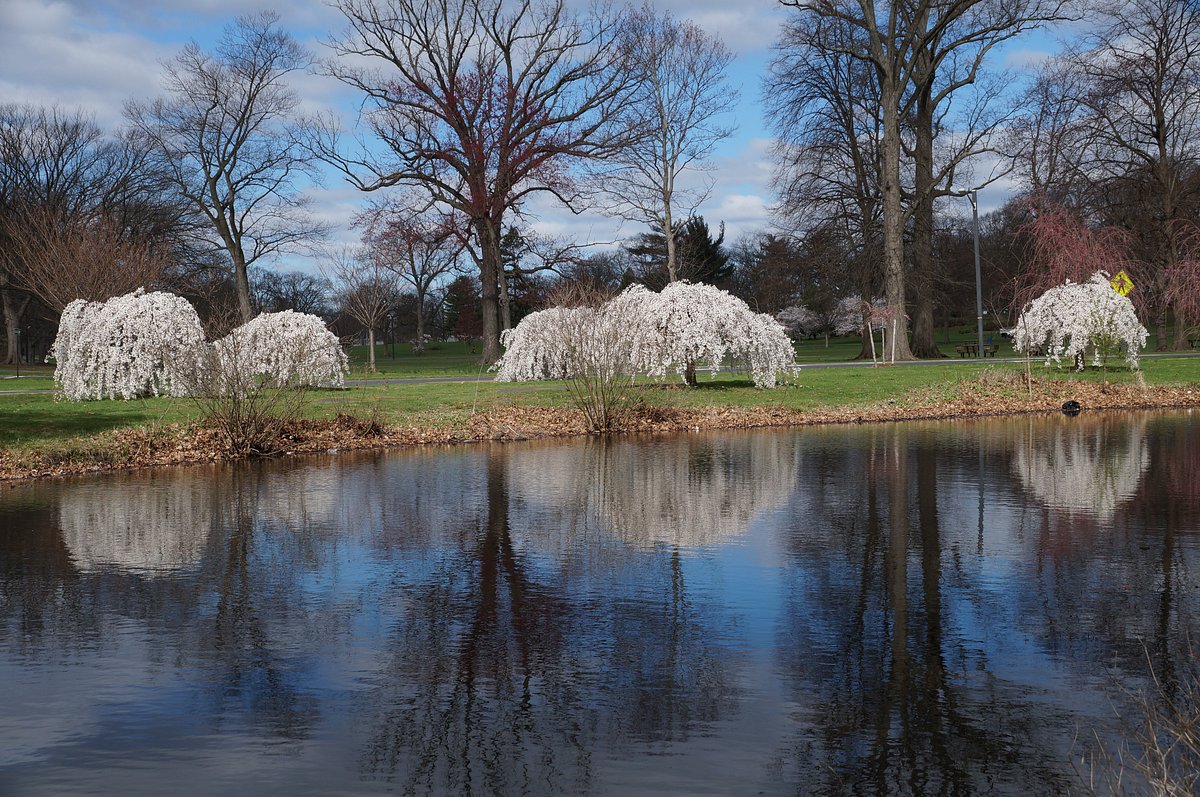 Warinanco Park